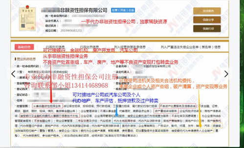 獨家渠道代辦非融資性擔(dān)保公司 專業(yè)金融信息咨詢服務(wù)指南