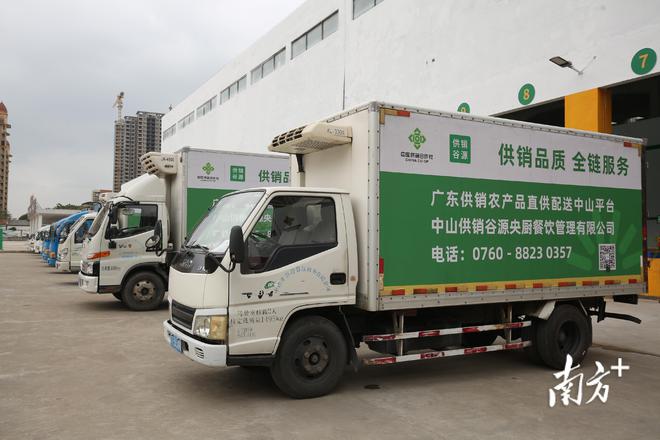 廣東供銷農產品直供配送中山服務中心開業，一站式打包服務助力農產品高效流通